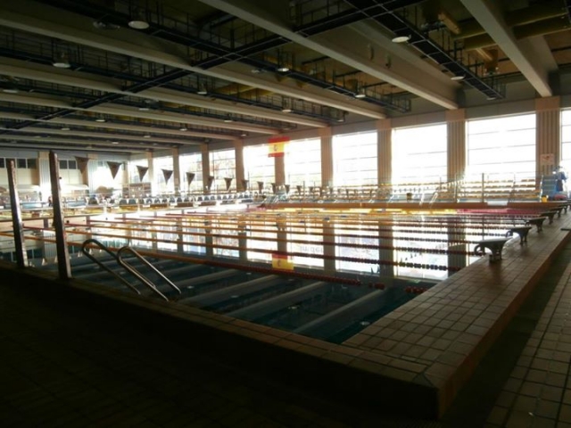  der Pool 